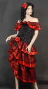 Costume Flamenco.jpg (73963 bytes)