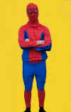 Spiderman.jpg (523936 bytes)